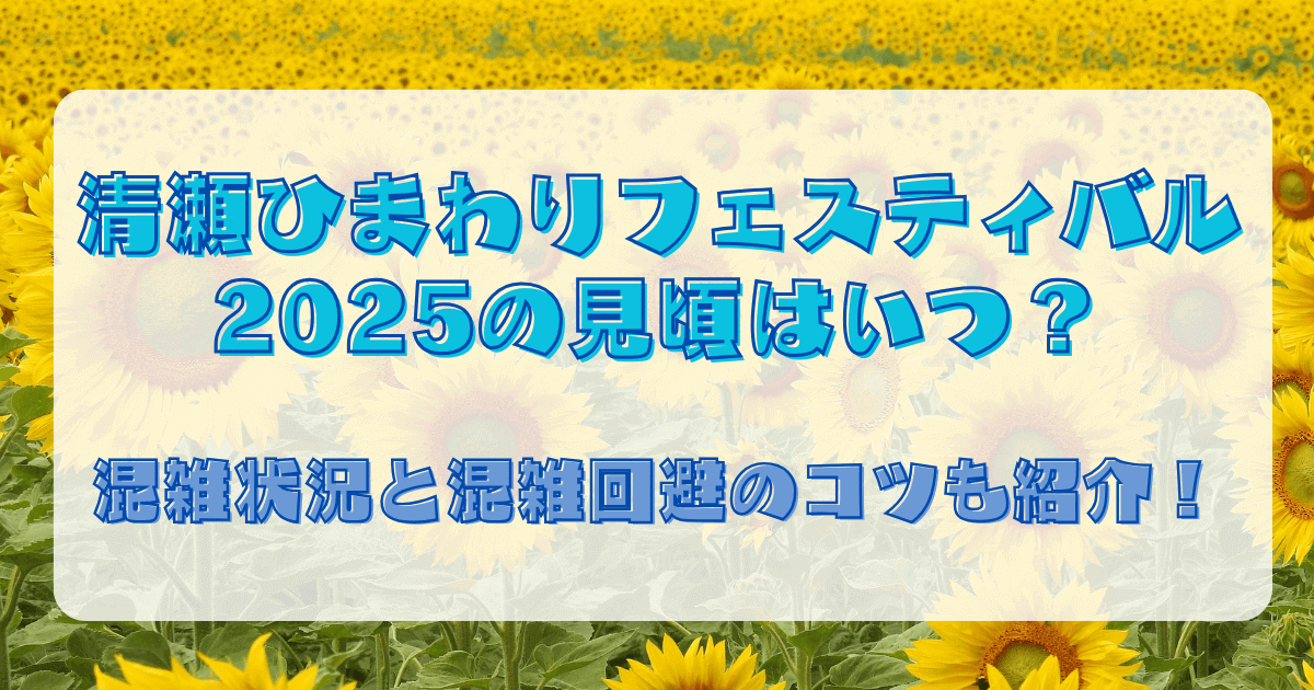 清瀬ひまわりフェスティバル2025の見頃はいつ？混雑状況と混雑回避のコツも紹介！