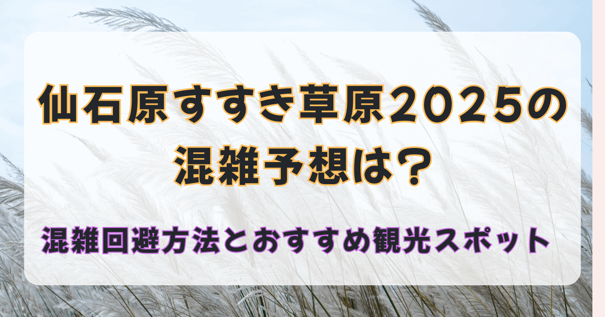仙石原すすき草原2025の混雑予想は？混雑回避方法とおすすめ観光スポット