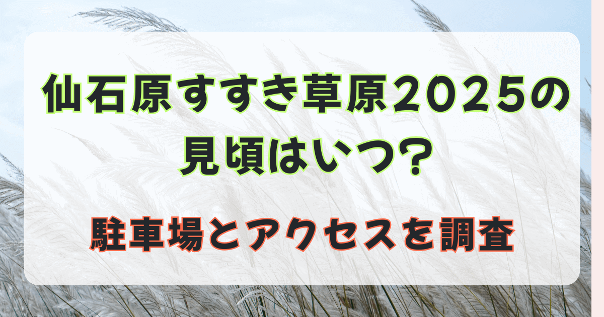 仙石原すすき草原2025の見頃はいつ？駐車場とアクセスを調査
