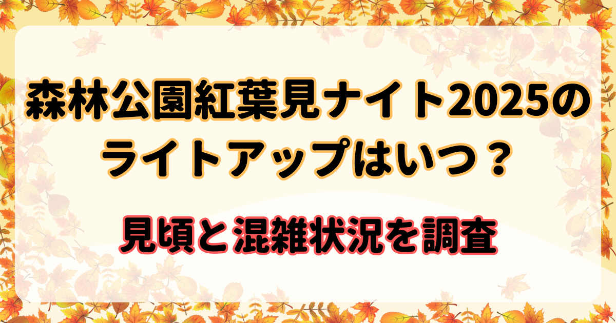 森林公園紅葉見ナイト2025のライトアップはいつ？見頃と混雑状況を調査