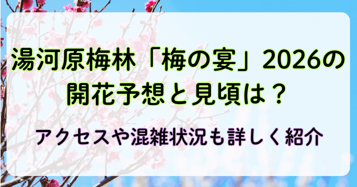 湯河原梅林「梅の宴」2026の開花予想と見頃は？アクセスや混雑状況も詳しく紹介