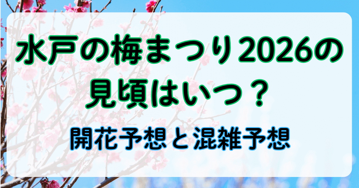 水戸の梅まつり2026の見頃はいつ？開花予想と混雑予想