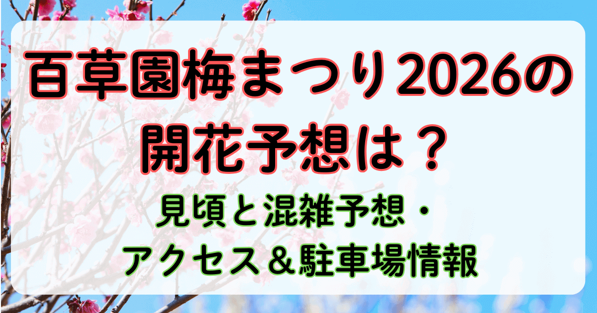 百草園梅まつり2026の開花予想は？見頃と混雑予想・アクセス＆駐車場情報