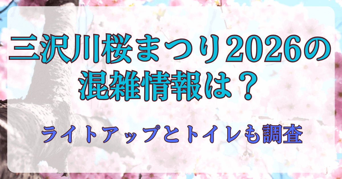 三沢川桜まつり2026の混雑情報は？ライトアップとトイレも調査