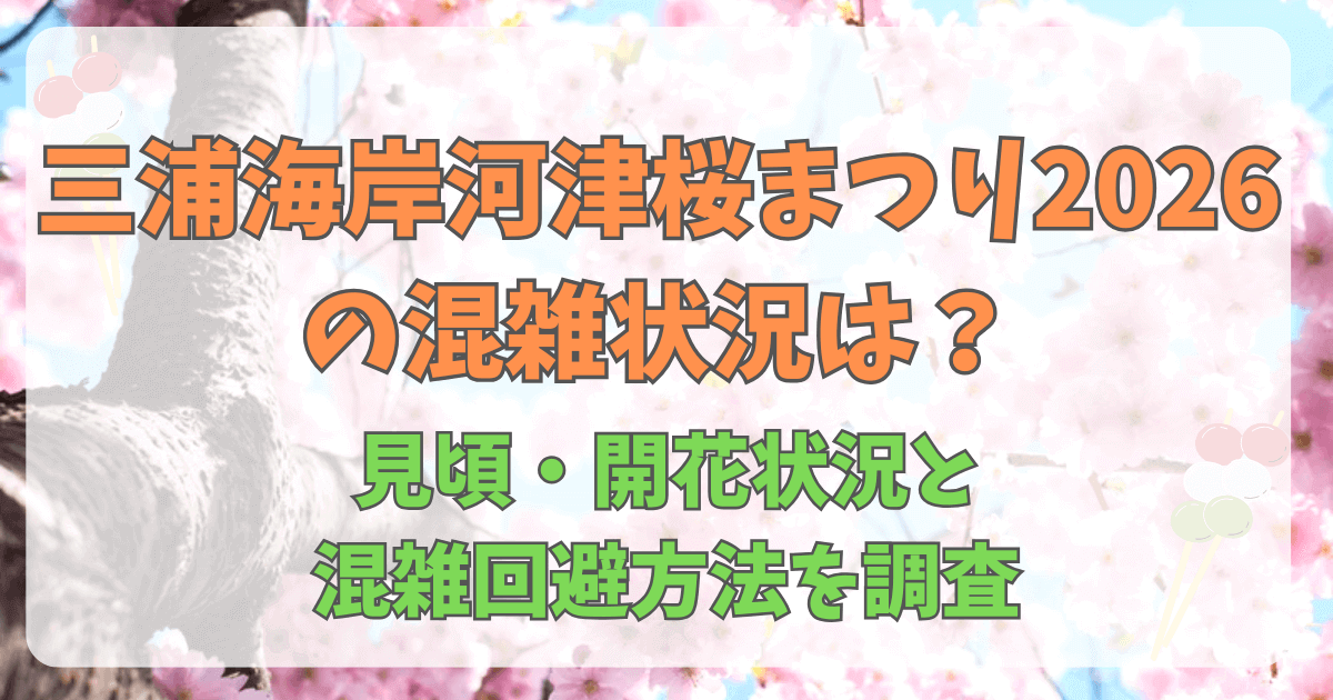 三浦海岸河津桜まつり2026の混雑状況は？見頃・開花状況と混雑回避方法を調査