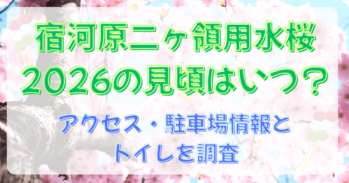 宿河原二ヶ領用水桜2026の見頃はいつ？アクセス・駐車場情報とトイレを調査