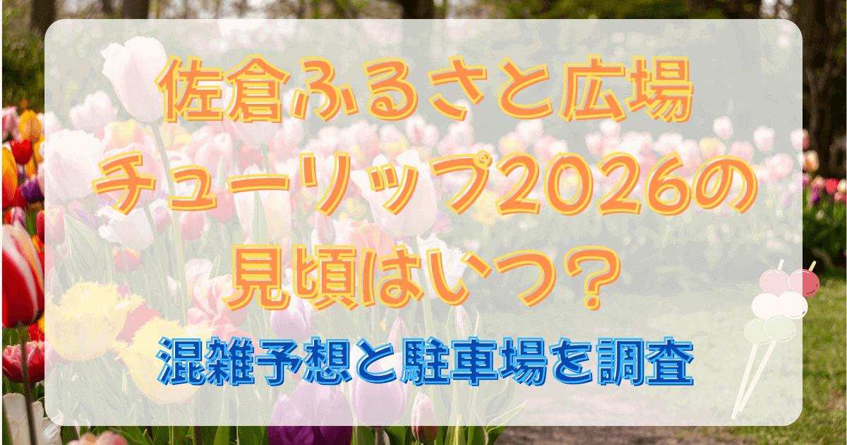 佐倉ふるさと広場チューリップ2026の見頃はいつ？混雑予想と駐車場を調査