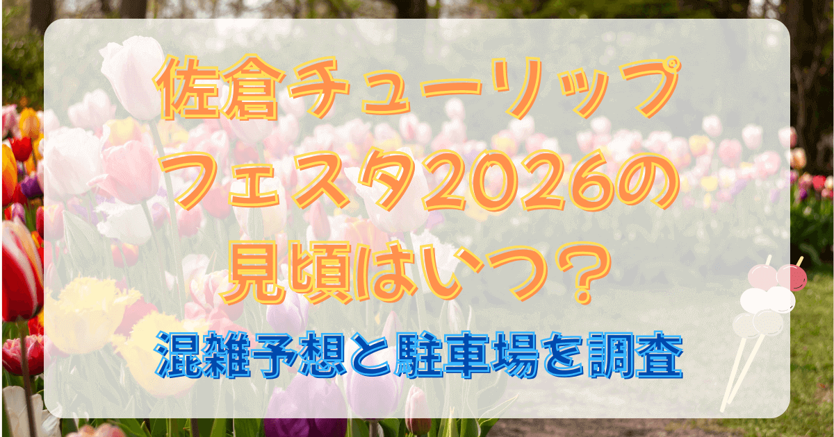 佐倉チューリップフェスタ2026の見頃はいつ？混雑予想と駐車場を調査